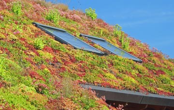 Cusveorth Coombe living roof systems